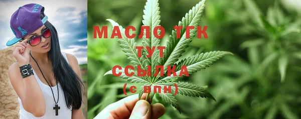 твердый Новодвинск