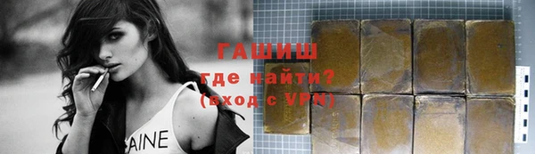 гашик Новозыбков