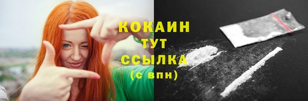 гашик Новозыбков
