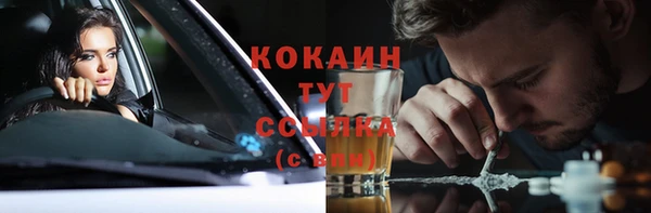 гашик Новозыбков