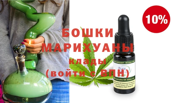 твердый Новодвинск