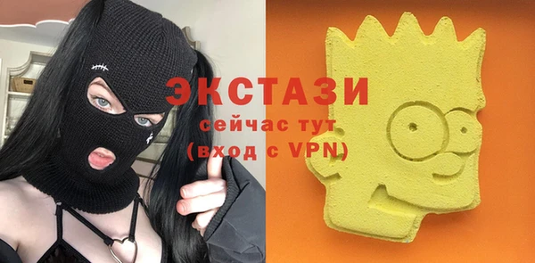 гашик Новозыбков