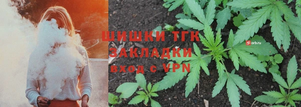 твердый Новодвинск