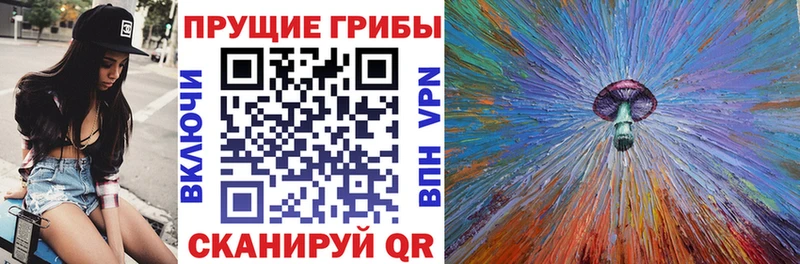 Купить где  Никольское  Псилоцибиновые грибы Cubensis 